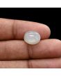 Moonstone 4.78 Carat 