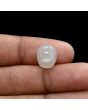 Moonstone 4.78 Carat 