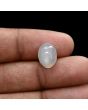 Moonstone 4.73 Carat 