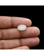 Moonstone 5.01 Carat 
