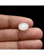 Moonstone 5.4 Carat 
