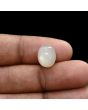 Moonstone 5.52 Carat 