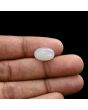 Moonstone 5.06 Carat 