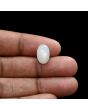 Moonstone 5.01 Carat 