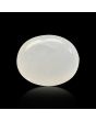 Moonstone 5.84 Carat 