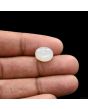 Moonstone 5.84 Carat 