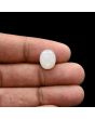 Moonstone 5.84 Carat 