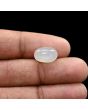 Moonstone 5.63 Carat 