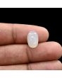 Moonstone 5.63 Carat 