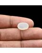 Moonstone 5.63 Carat 