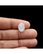 Moonstone 4.83 Carat 