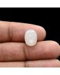 Moonstone 4.91 Carat 