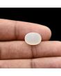 Moonstone 4.91 Carat 