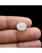 Moonstone 4.84 Carat 