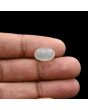 Moonstone 5.31 Carat 