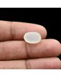 Moonstone 5.31 Carat 