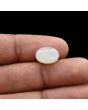 Moonstone 5.54 Carat 