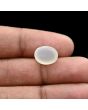 Moonstone 4.79 Carat 