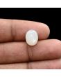 Moonstone 4.84 Carat 
