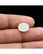 Moonstone 4.84 Carat 