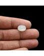 Moonstone 5.09 Carat 