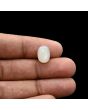 Moonstone 5.09 Carat 