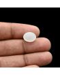Moonstone 4.73 Carat 