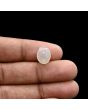 Moonstone 4.81 Carat 