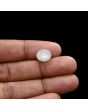 Moonstone 5.04 Carat 