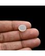 Moonstone 5.04 Carat 