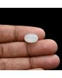 Moonstone 5.3 Carat 