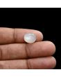 Moonstone 5.01 Carat 