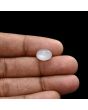 Moonstone 4.8 Carat 