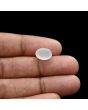 Moonstone 4.8 Carat 