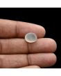 Moonstone 4.65 Carat 
