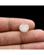 Moonstone 4.85 Carat 