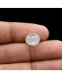 Moonstone 5.48 Carat 