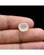 Moonstone 5.48 Carat 