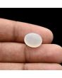Moonstone 4.88 Carat 