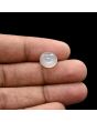 Moonstone 4.69 Carat 