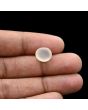 Moonstone 4.69 Carat 
