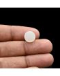 Moonstone 4.82 Carat 