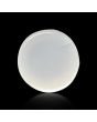 Moonstone 4.41 Carat 