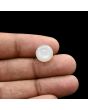 Moonstone 4.79 Carat 