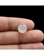 Moonstone 5.62 Carat 