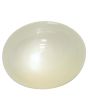 Moonstone 7.54 Carat 