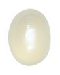MoonStone (Chandrakant Mani) Cts. 10.15 Ratti 11.17