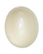 Moonstone 9.85 Carat 