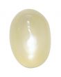 Moonstone 8.72 Carat 