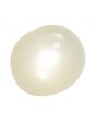 Moonstone 6.61 Carat